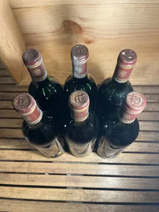 1982 Marqués de Cáceres - Rioja Reserva - 6 Flessen (0.75 liter)