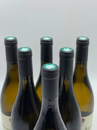 2020 Noellat Bourgogne Aligoté - Bourgondië - 6 Flessen (0.75 liter)