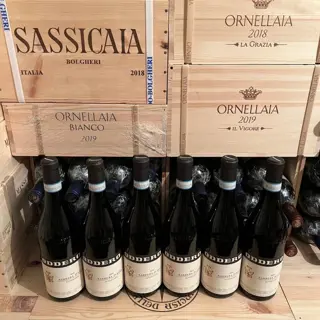 2020 Oddero, Barbera d’Alba - Piëmont Superiore - 6 Flessen (0.75 liter)