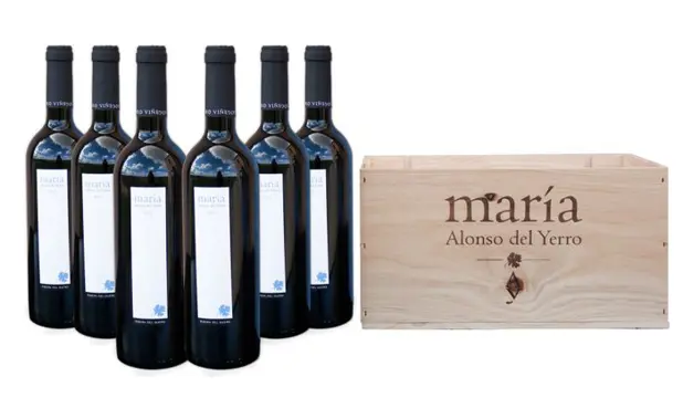 2013 Viñedos Alonso del Yerro, 'Maria' - Ribera del Duero - 6 Flessen (0.75 liter)