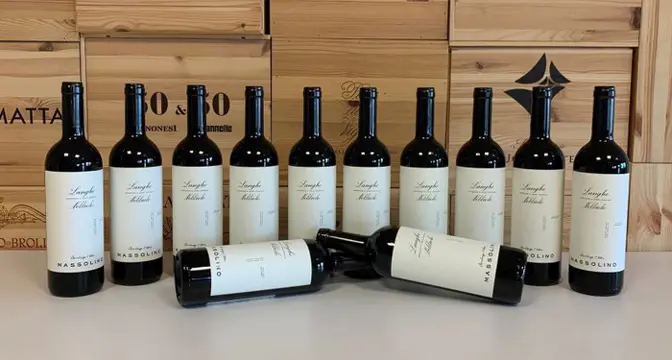 2020 Massolino Langhe Nebbiolo - Piëmont - 12 Flessen (0.75 liter)