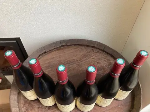 2015 Savigny-les-Beaune 1er Cru "Les Peuillets". Louis Jadot - Bourgondië - 6 Flessen (0.75 liter)