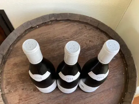 2018 Domaine Georges Lignier & Fils Clos Saint-Denis - Bourgondië Grand Cru - 3 Flessen (0.75 liter)