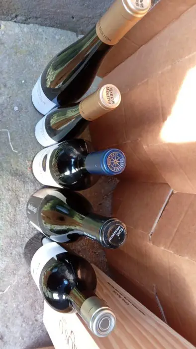 2020 Sorte O Soro, 2018 Pingus, Markus Molitor x 2, 2009 Alto Moncayo, 16 Cos d'Estournel & 16 Sassicaia - 7 Flessen (0.75 liter)