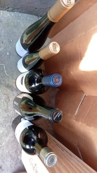 2020 Sorte O Soro, 2018 Pingus, Markus Molitor x 2, 2009 Alto Moncayo, 16 Cos d'Estournel & 16 Sassicaia - 7 Flessen (0.75 liter)