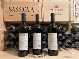 2019 Galardi, Terra di Lavoro - Campania - 3 Flessen (0.75 liter)