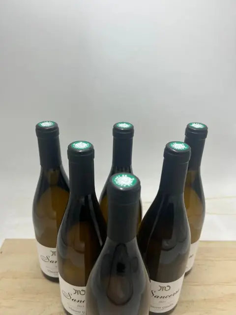 2021 Sancerre "Constellation du Scorpion" - Vincent Gaudry - Sancerre - 6 Flessen (0.75 liter)
