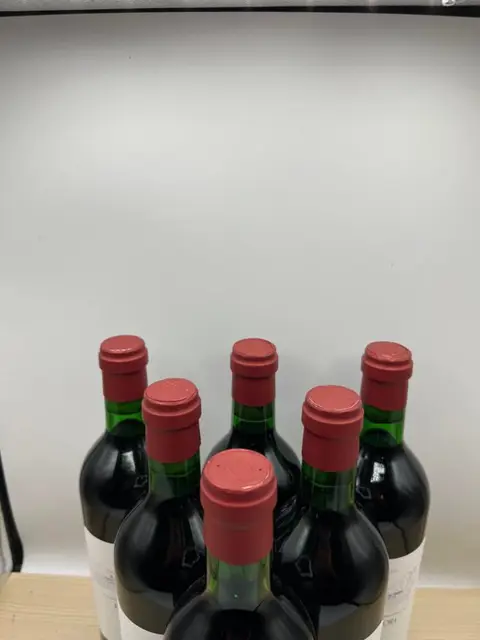 2020 Foradori, Teroldego - Trentino Alto Adige - 6 Flessen (0.75 liter)