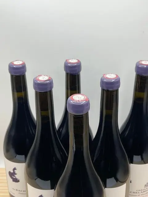 2020 Chateau des Bachelards Comtesse de Vazeilles Fleurie - Beaujolais - 6 Fles (0,75 liter)