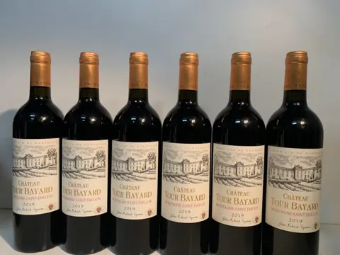 2019 Chateau Tour Bayard - Montagne-Saint-Emilion - 6 Flessen (0.75 liter)