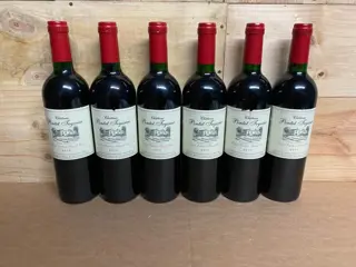 2010 Chateau Pontet Teyssier - Saint-Emilion Grand Cru - 6 Flessen (0.75 liter)
