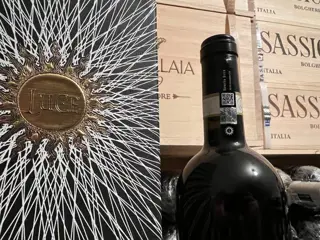 2017 Frescobaldi, Luce - Brunello di Montalcino DOCG - 1 Fles (0,75 liter)