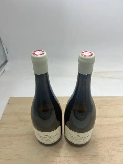 2019 Chablis Grand Cru "Les Bouguerots" - Domaine Laroche - 2 Fles (0,75 liter)