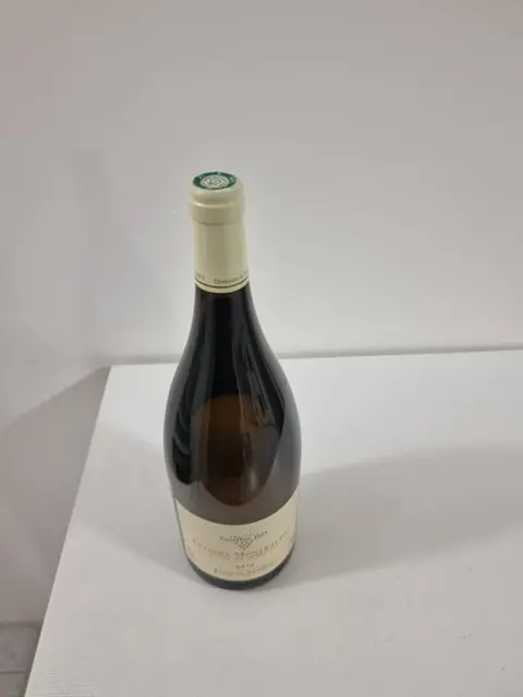 2010 Puligny-Montrachet 1° Cru "Les Combettes" - Carillon - Bourgondië - 1 Magnum (1,5 L)