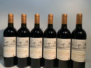 2019 Chateau Tour Bayard - Montagne-Saint-Emilion - 6 Flessen (0.75 liter)