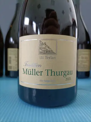 2021 Terlan Muller Thurgau - Alto Adige - 6 Flessen (0.75 liter)