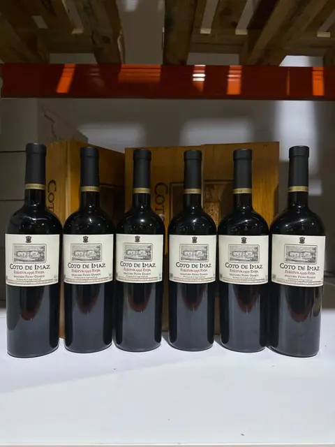 1996 Coto de Imaz 'Selección Pedro Guasch' - Rioja Reserva - 6 Flessen (0.75 liter)