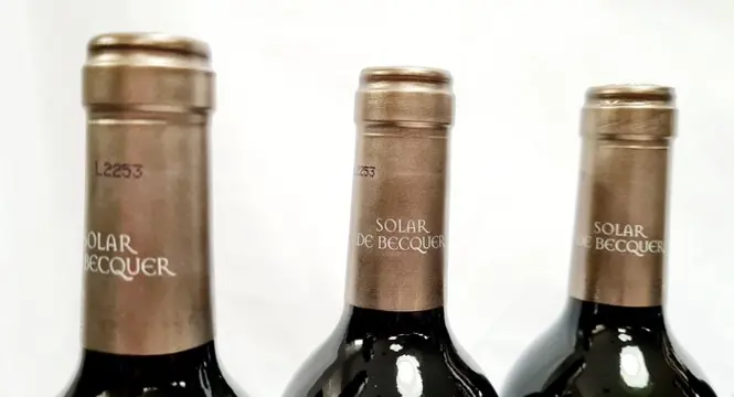 2005 Bodegas Escudero, Solar de Bécquer - Rioja Reserva - 6 Flessen (0.75 liter)