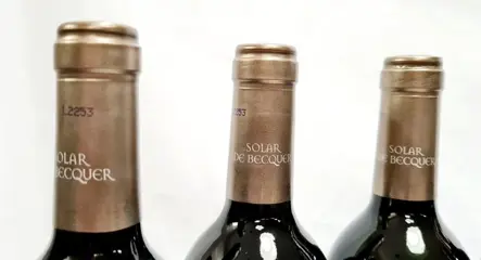 2005 Bodegas Escudero, Solar de Bécquer - Rioja Reserva - 6 Flessen (0.75 liter)