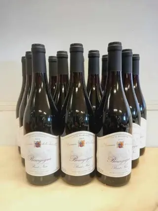 2019 Domaine de la Tassé d'Or Bourgogne Pinot Noir - Bourgondië - 12 Flessen (0.75 liter)