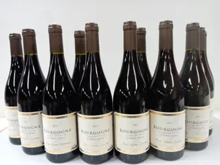 2019 Bourgogne Pinot Noir - Paul Henri Lacroix - Bourgondië - 12 Flessen (0.75 liter)