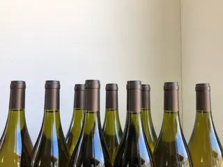 2019 Chablis Vieilles Vignes, Mickael Marillier - Bourgondië - 9 Flessen (0.75 liter)