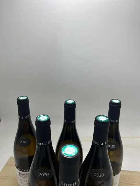 2020 Chablis 1° Cru "Butteaux" - Louis Michel & Fils - 6 Fles (0,75 liter)