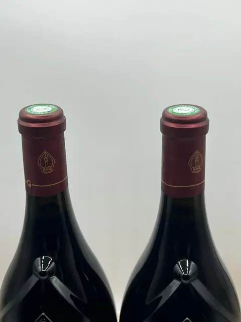 2020 Clos Saint-Jean - Châteauneuf-du-Pape - 2 Magnums (1.5L)