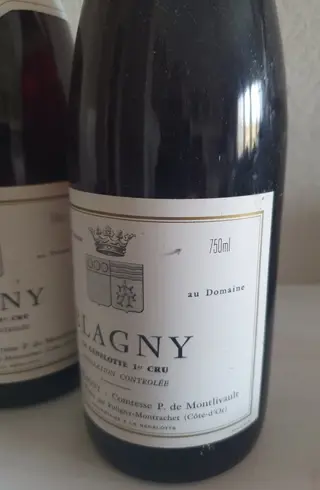 1995 Blagny 1° Cru "La Genelotte" - Domaine de Blagny - Bourgondië - 2 Fles (0,75 liter)