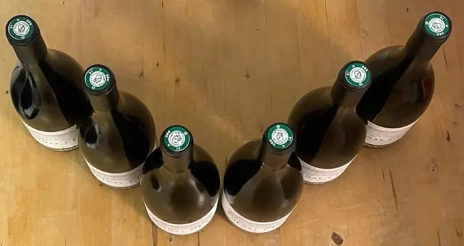 2017 Volnay 1° Cru "Taillepieds" - Sylvain Loichet - Bourgondië - 6 Fles (0,75 liter)