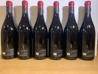 2018 Domaine Trapet Pere et Fils - Gevrey Chambertin - 6 Flessen (0.75 liter)