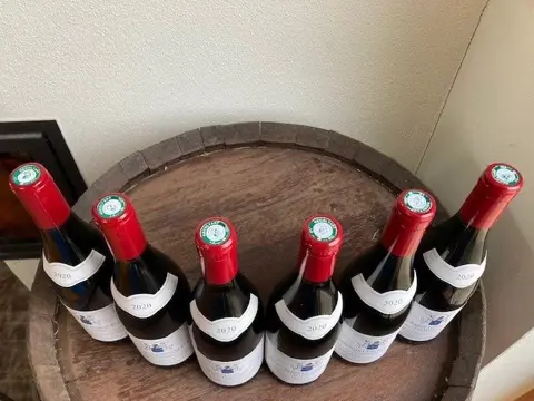 2021 Nuits St Georges 1er Cru "Les Damodes" - Machard de Gramont - Bourgondië - 6 Flessen (0.75 liter)