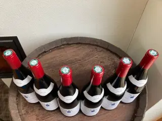 2021 Nuits St Georges 1er Cru "Les Damodes" - Machard de Gramont - Bourgondië - 6 Flessen (0.75 liter)