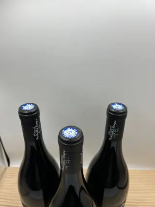 2020 IGP Pays de l'Herault "Le 360" - Mas des Armes - herault - 3 Fles (0,75 liter)