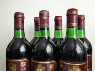 1982 Marqués de Cáceres - Rioja Crianza - 6 Flessen (0.75 liter)