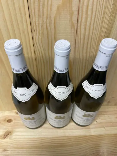 2010 Chablis Grand Cru "Les Clos" - Domaine Alain Geoffroy - 3 Flessen (0.75 liter)