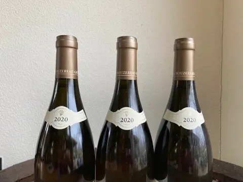2020 Puligny-Montrachet. Domaine Bouzereau-Gruere - Bourgondië - 3 Flessen (0.75 liter)