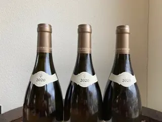 2020 Puligny-Montrachet. Domaine Bouzereau-Gruere - Bourgondië - 3 Flessen (0.75 liter)