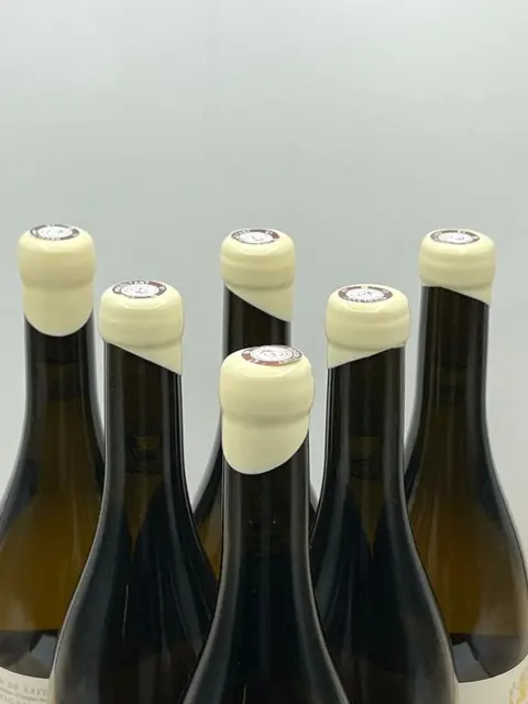 2019 Adrien Berlioz "Cuvée Euphrasie" Chignin-Bergeron - Savoie - 6 Flessen (0.75 liter)