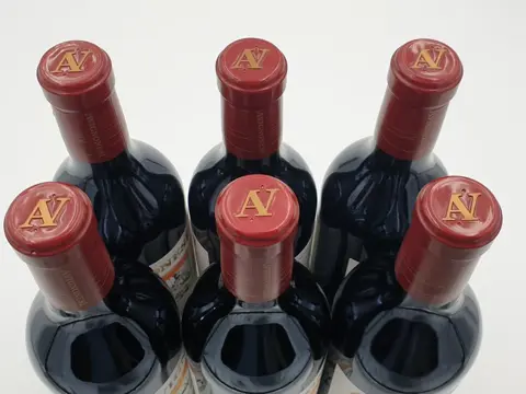 2017 Avignonesi, Desiderio Merlot - Toscana IGT - 6 Flessen (0.75 liter)