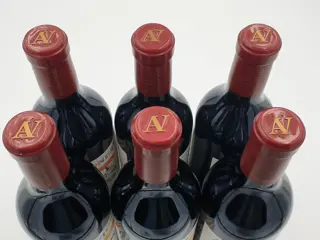 2017 Avignonesi, Desiderio Merlot - Toscana IGT - 6 Flessen (0.75 liter)