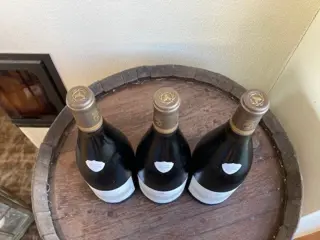 2014 Domaine Albert Bichot Côte de Nuits villages - Bourgondië - 3 Magnums (1.5L)
