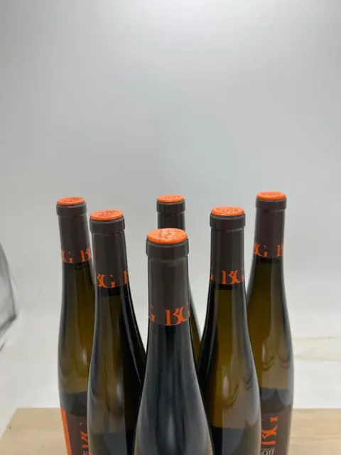 2017 Domaine Bott-Geyl - Riesling Schoenenbourg Grand Cru - Elzas Grand Cru - 6 Flessen (0.75 liter)