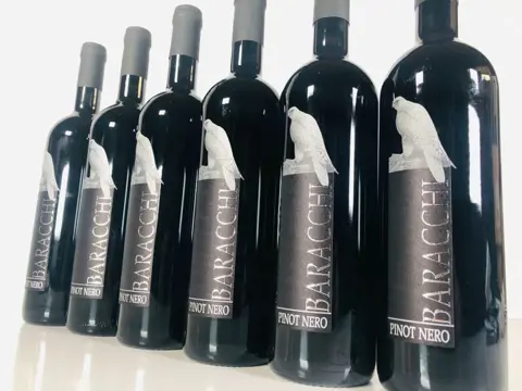 2016 Baracchi, Pinot Nero - Toscane - 6 Flessen (0.75 liter)