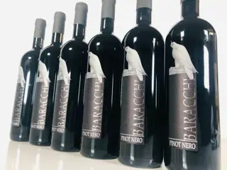 2016 Baracchi, Pinot Nero - Toscane - 6 Flessen (0.75 liter)