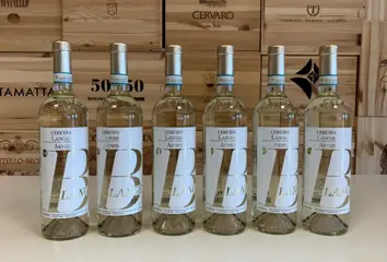 2021 Ceretto Arneis "Blangé" - Langhe, Piëmont - 6 Flessen (0.75 liter)