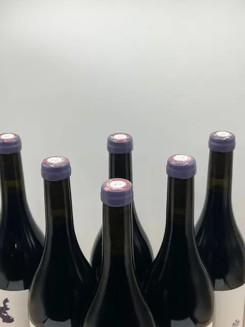 2020 Chateau des Bachelards Comtesse de Vazeilles Saint-Amour - Beaujolais - 6 Fles (0,75 liter)