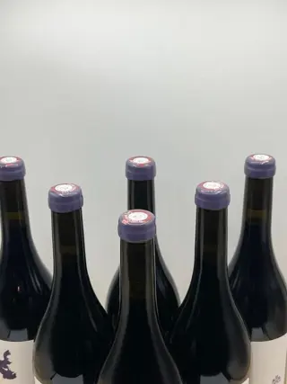 2020 Chateau des Bachelards Comtesse de Vazeilles Saint-Amour - Beaujolais - 6 Fles (0,75 liter)