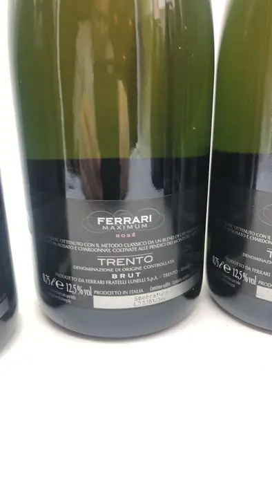 Fratelli Lunelli, Ferrari Maximum Rosé - Trentino Alto Adige DOC - 6 Flessen (0.75 liter)