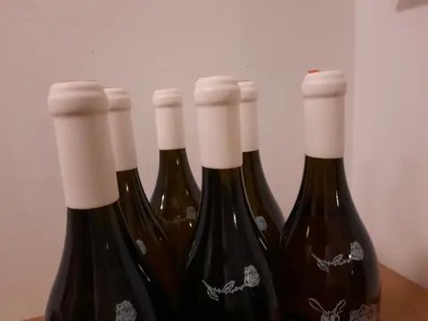 2012 Clemens Strobl, Riesling Rosenberg - Wagram Einzellage - 6 Flessen (0.75 liter)